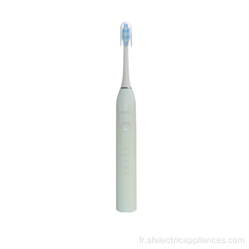 Brosse à dents électrique sonique adulte IPX7 domestique